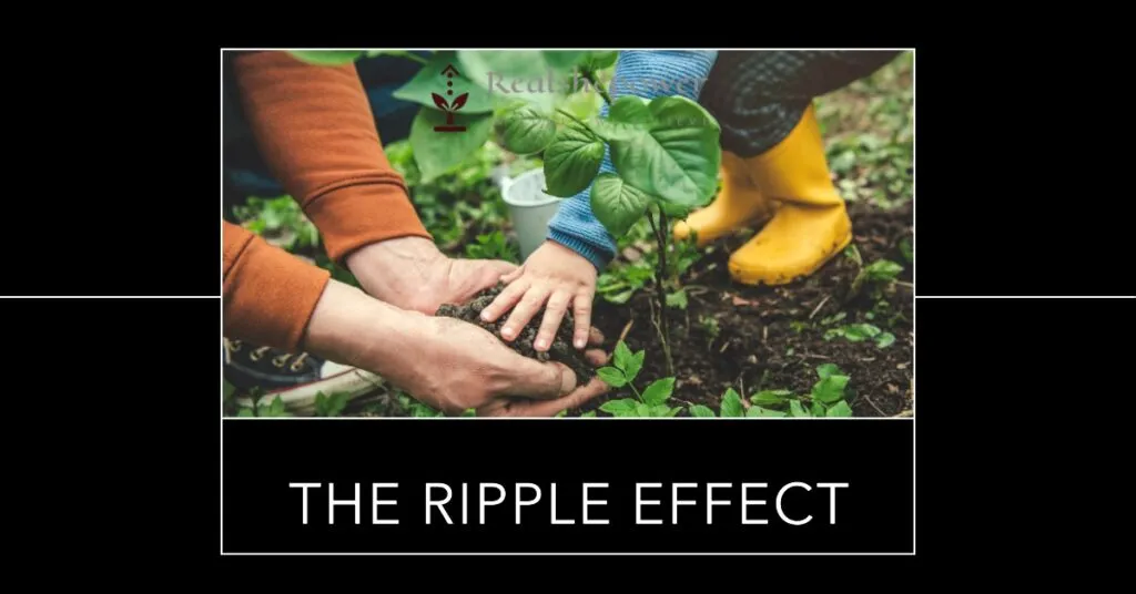 Gaura Devi'S Inspiring Journey: The Woman Who Hugged Trees 3 The Ripple Effect