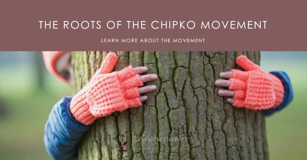Gaura Devi'S Inspiring Journey: The Woman Who Hugged Trees 2 The Roots Of The Chipko Movement