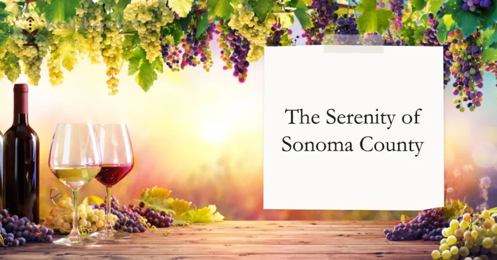 12 Best Wine Destinations For Women: Sipping And Savoring In Style 8 The Serenity Of Sonoma County: A Tranquil Wine Escape