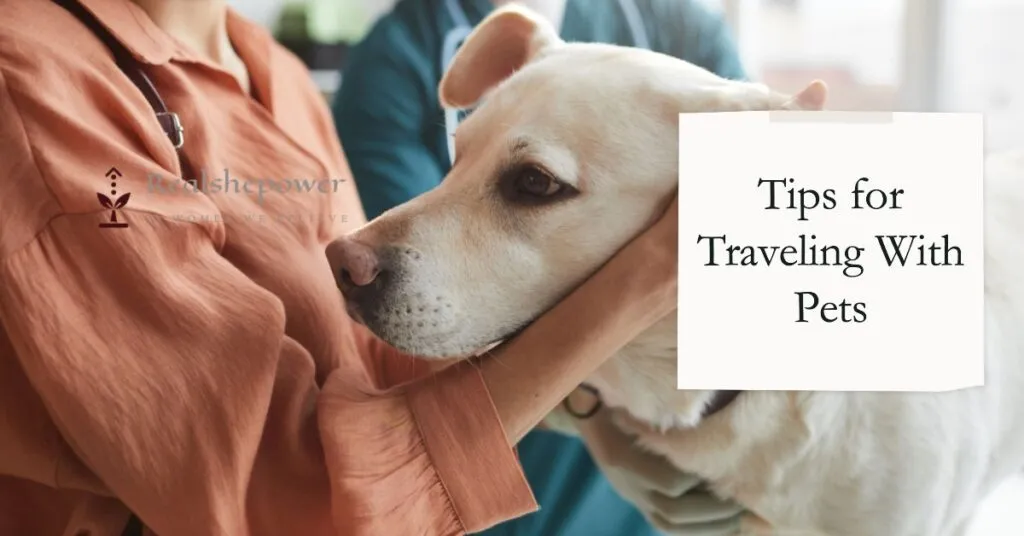 Traveling With Pets: Tips And Destinations For Women And Their Furry Companions 2 Tips For Traveling With Pets: Preparing For The Adventure