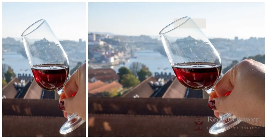 Journey Through The Enchanting Douro Valley: A Tapestry Of Nature, Culture, And Wine 3 Wine Paradise: Discovering The Vineyards And Wineries