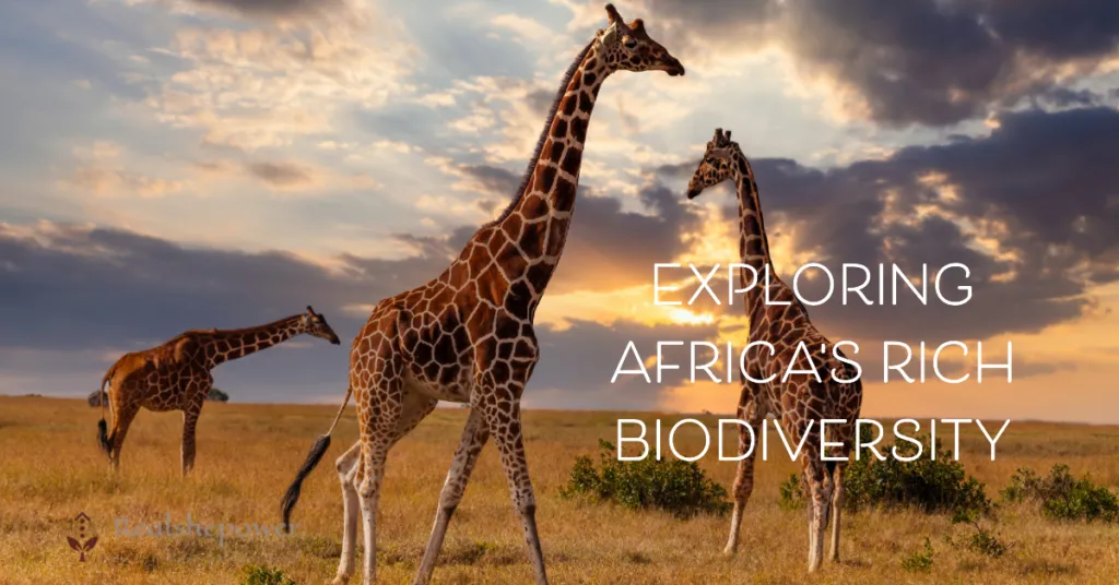 The Magic Of Africa'S Wildlife: Explore The Untamed Wonders 3 Beyond The Big Five: Exploring Africa'S Rich Biodiversity