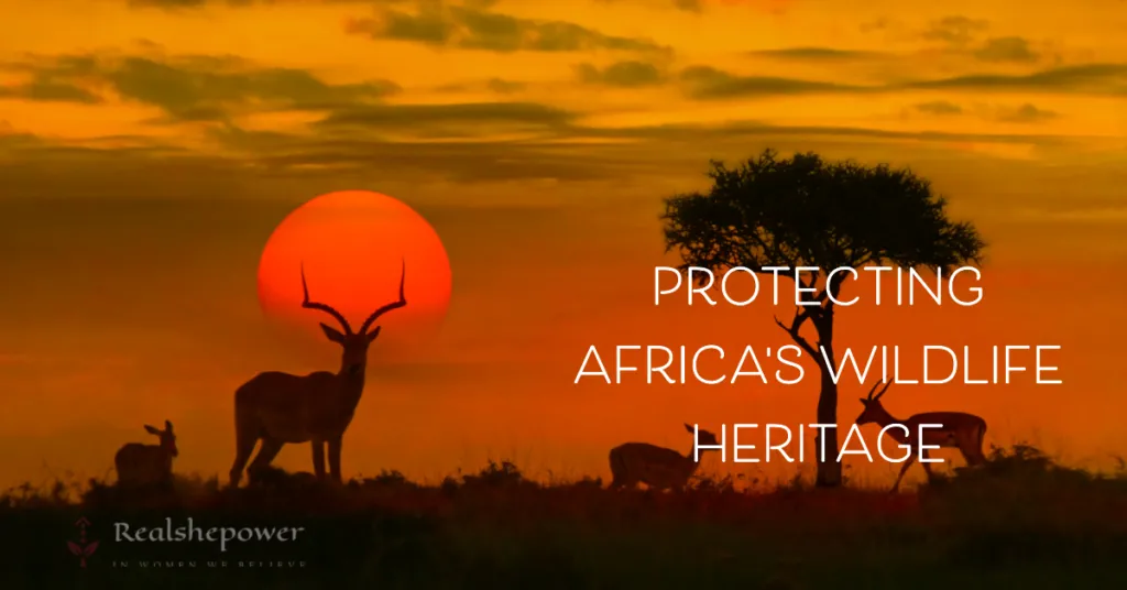The Magic Of Africa'S Wildlife: Explore The Untamed Wonders 4 Protecting Africa'S Wildlife Heritage