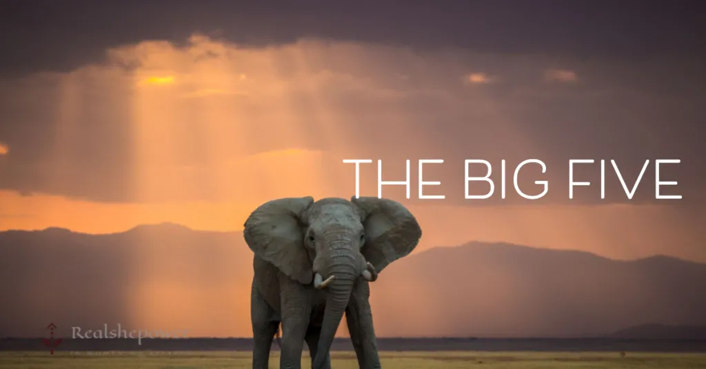 The Magic Of Africa'S Wildlife: Explore The Untamed Wonders 2 The Big Five