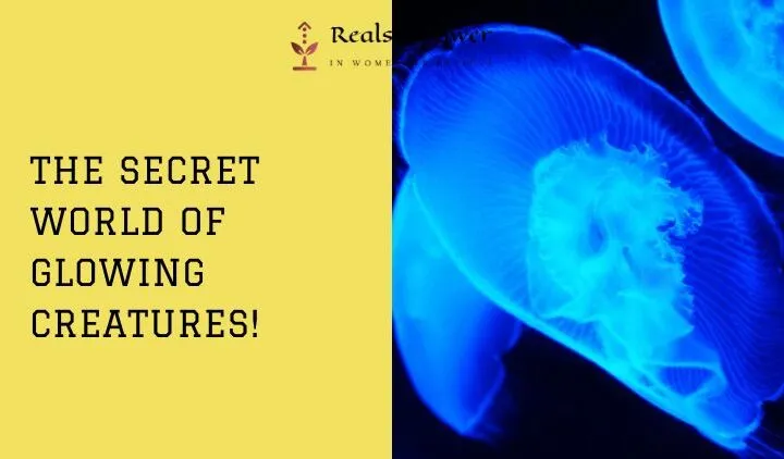 The Magical World Of Bioluminescence: Nature’s Own Light Show