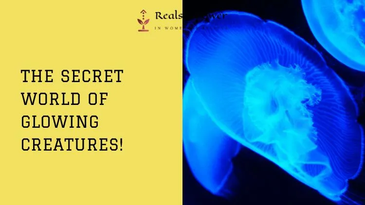The Magical World Of Bioluminescence: Nature’s Own Light Show 1 The Magical World Of Bioluminescence: Nature’s Own Light Show