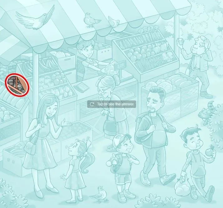 Raccoon Riddle: Find The Hidden Marvel In The Farmer’s Market Illusion 3 Spotraccooninthefarmersmarketinpictrureopticalillusioniqtestanswer