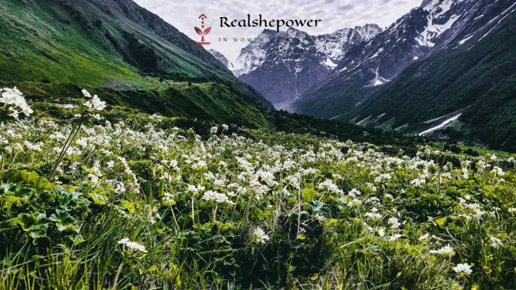 Exploring Uttarakhand: 8 Surprising Gems Beyond The Ordinary 6 Charas Uttarakhand