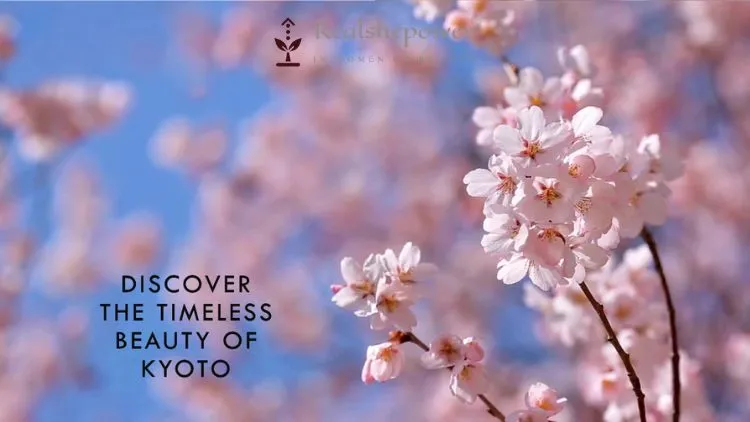 Kyoto: A Timeless Journey Through Japan'S Heart 1 Kyoto: A Timeless Journey Through Japan’S Heart