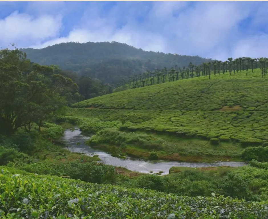 Cardamom Mountains