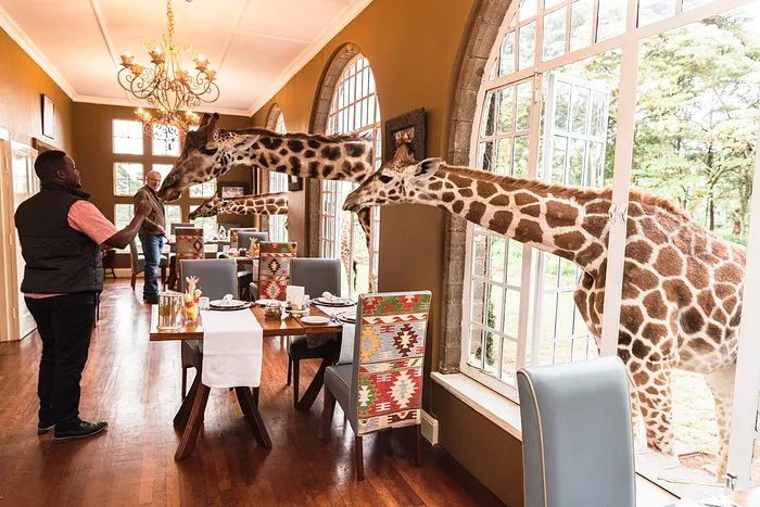 5 Dreamy Luxury Hotels For An Unforgettable Escape 2 Giraffe Manor, Nairobi, Kenya