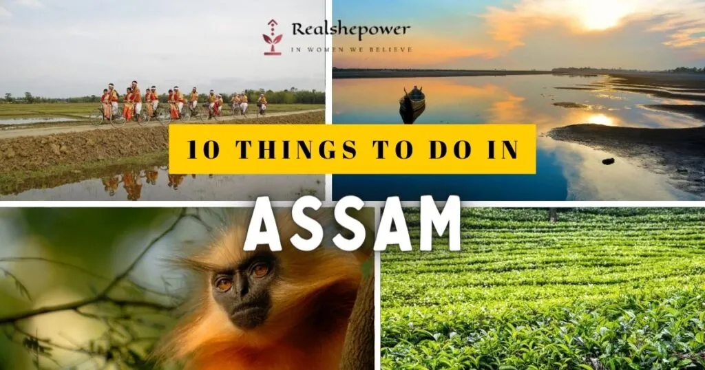 Exploring The Beautiful Tea Estate Of Assam: A Journey Through Aromatic Bliss 3 10 Things To Do In Assam: Unveiling The Secrets Of The North-East