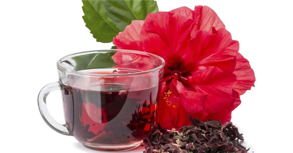 5 Unique Drinks For Weight Loss You’ve Never Heard About 3 Hibiscus Tea
