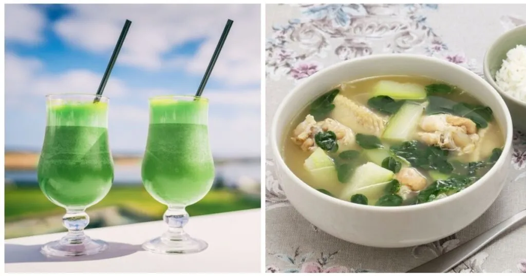 6 Guilt-Free Desserts You Won'T Believe Are Super Healthy! 9 Moringa Recipes