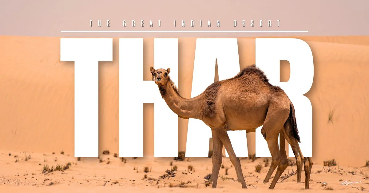 Thar Desert Secrets: Unveiling 7 Mysteries Beneath The Sand