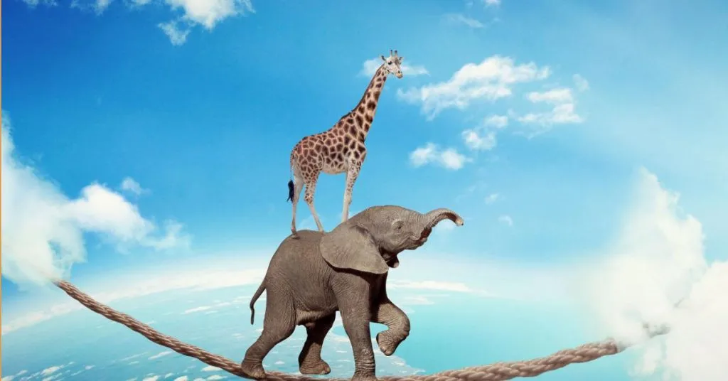 Faith Is Not Believing In Something You Can'T See; It'S Seeing Something In Everything.
