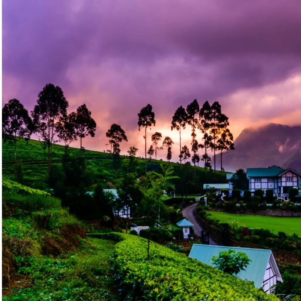 Top 10 Things To Do In Sri Lanka: Your Ultimate Travel Guide 8 Nuwara Eliya