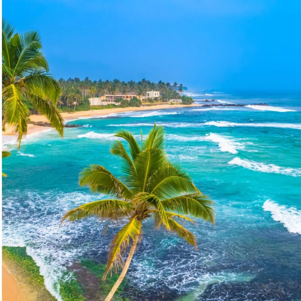 Top 10 Things To Do In Sri Lanka: Your Ultimate Travel Guide 3 Unawatuna