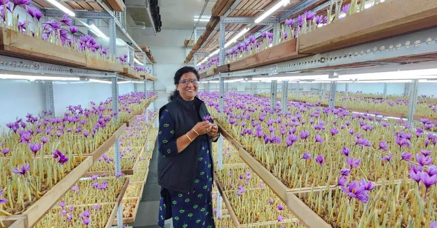 &Quot;There’s No Age Limit To Learning&Quot;: How A 63-Year-Old Homemaker Built A Saffron Empire 3 Shubha Bhatnagar