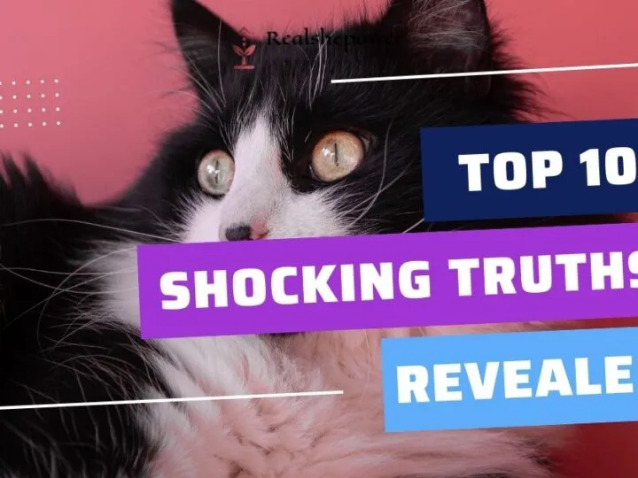 10 Shocking Realities That Will Change How You See The World