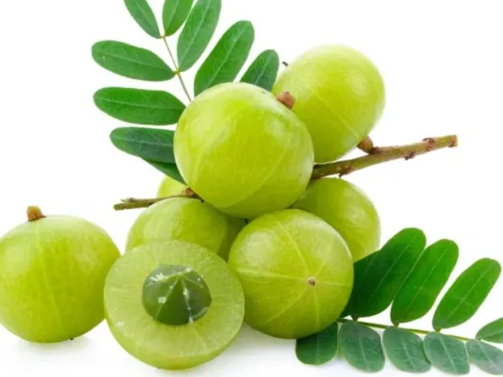 Amla For Women: 7 Science-Backed Benefits Of The Indian Gooseberry You Need To Know