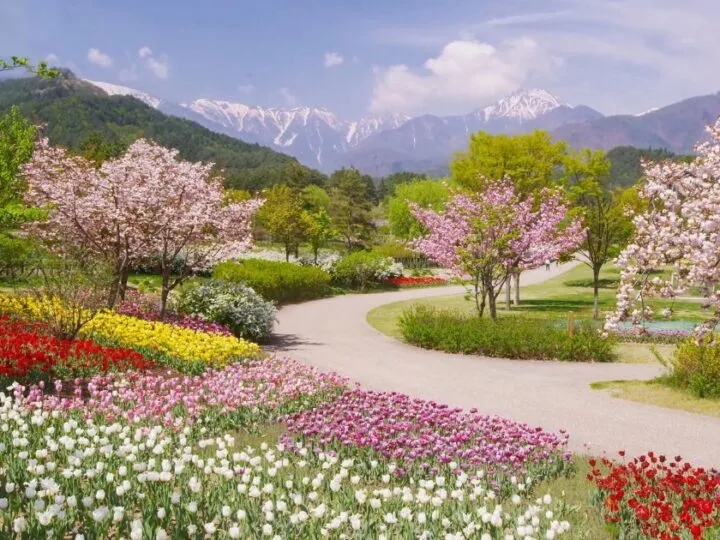 The Garden Of God A Tale Of Wonder And Love