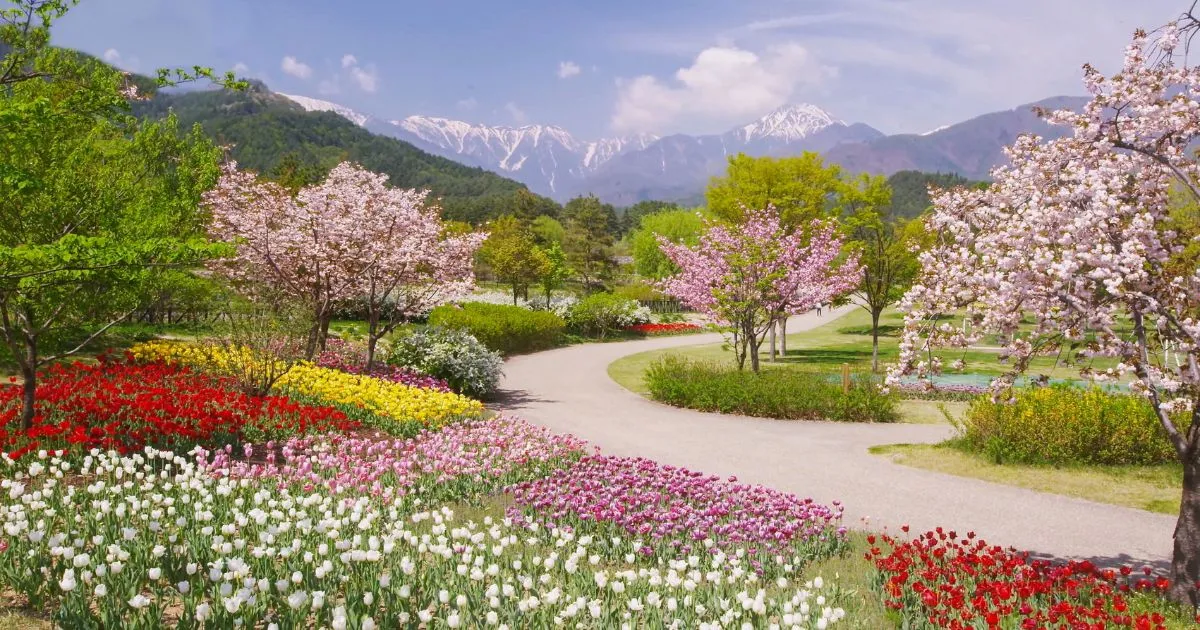 The Garden Of God A Tale Of Wonder And Love