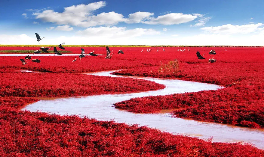 Top 10 Hidden Wonders Of The World: A Journey To Earth’s Secret Marvels 2 Image 12