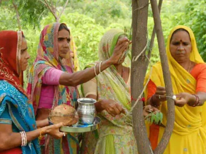 Piplantri: The Rajasthan Village Where Trees Celebrate The Birth Of A Girl