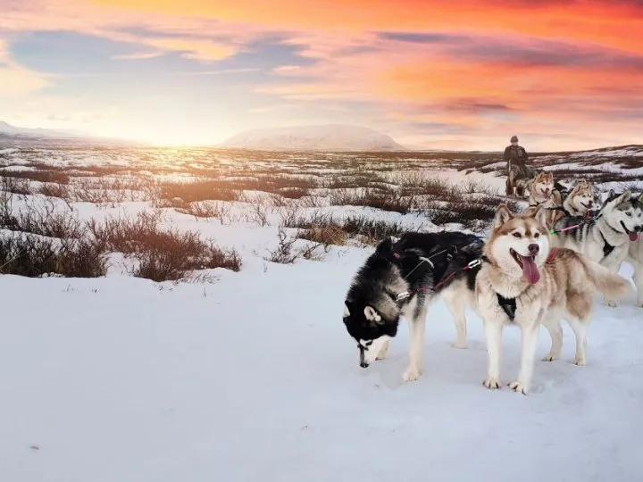 Iceland: Where The Earth Breathes Beneath Your Feet