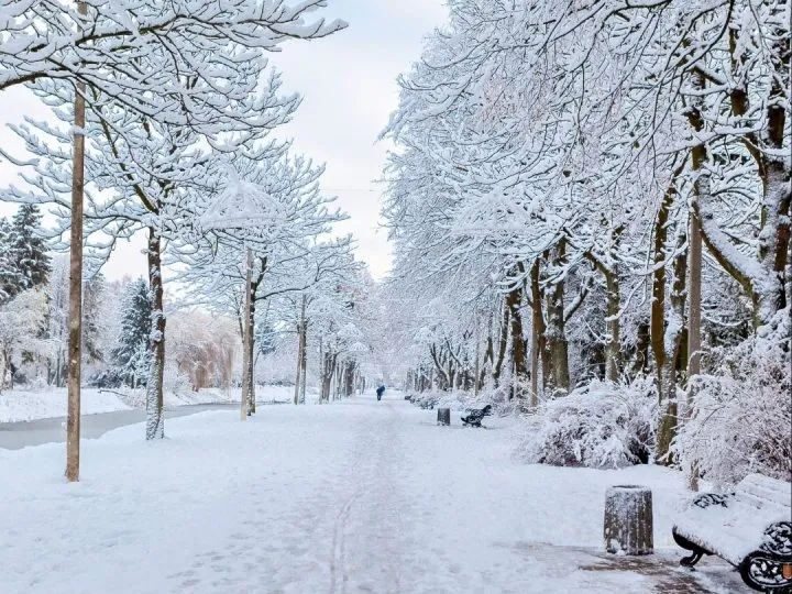 Best Places To Visit In January – February 2026 In India