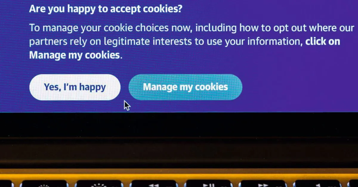 Why Digital Consent Doesn’t Really Exist 1 Why Digital Consent Doesn’t Really Exist