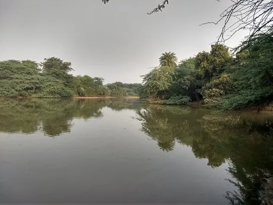 5 Secret Spots In Gurgaon For Your Next Romantic Escape 2 Image 2