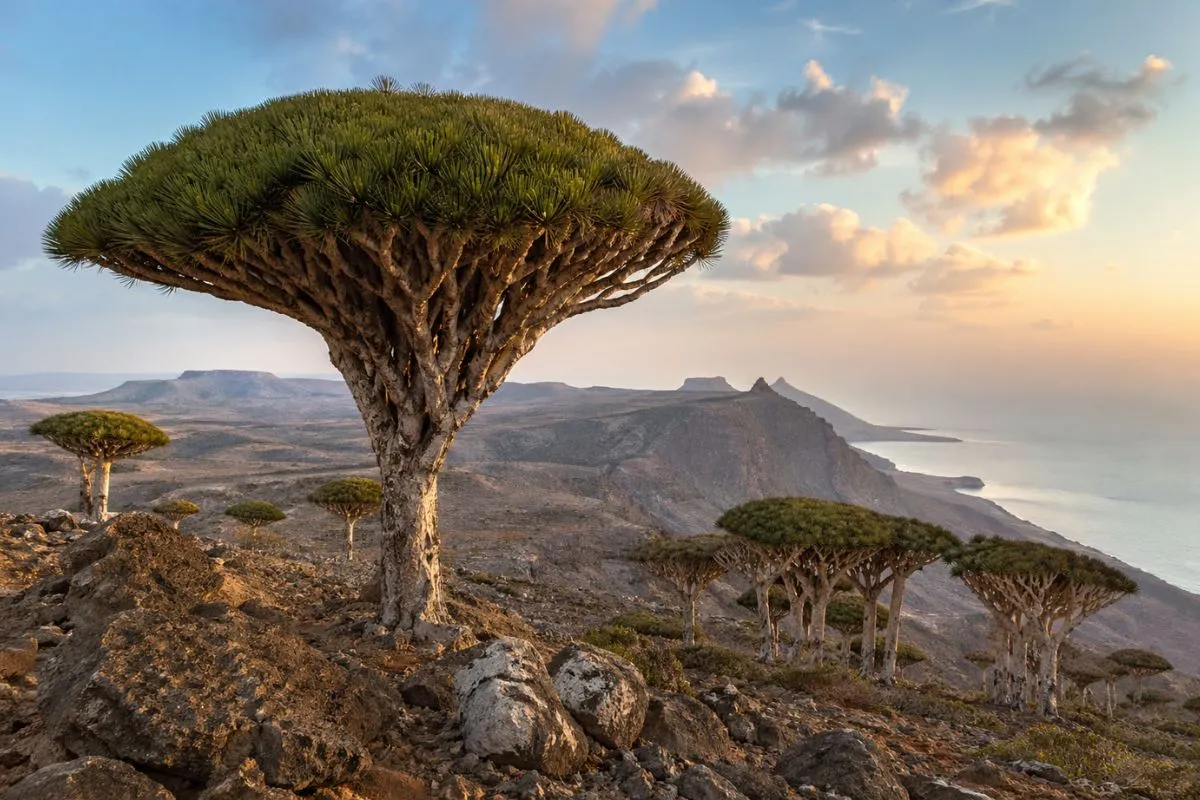 Why Socotra Island Is The Last Great Frontier On Earth