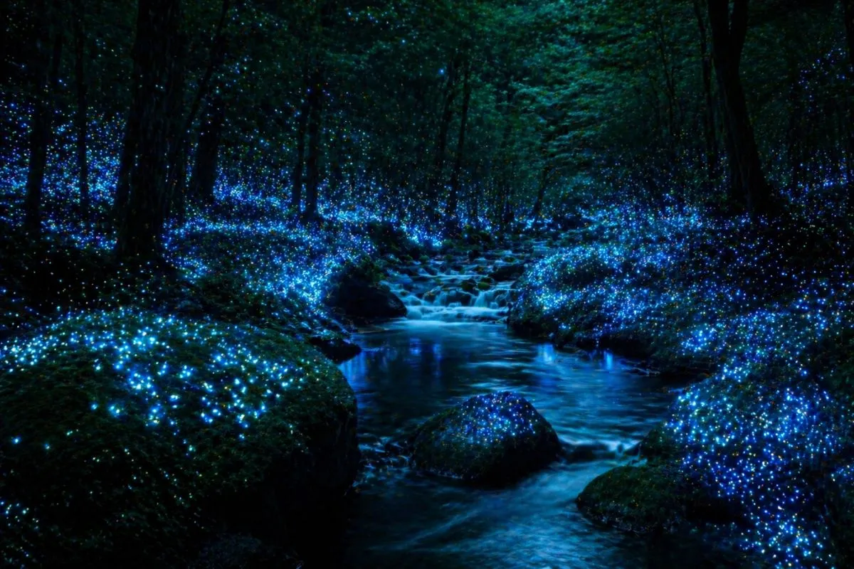 Japan'S Shikoku And Kyushu Forests Glow In The Dark 1 Japan’S Shikoku And Kyushu Forests Glow In The Dark