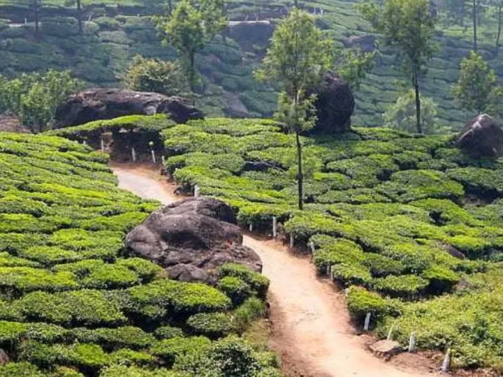 The Jorhat Renaissance: India’s No. 1 Trending Hub