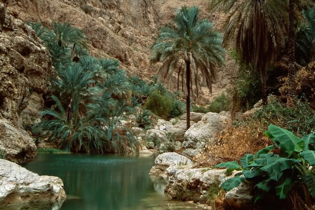 Omg This Wadi Shab Desert Oasis Is A Real Life Secret Garden