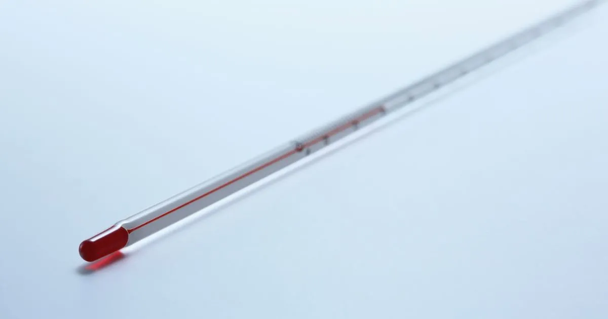 The 20-Year-Old Thermometer Discovery 1 The 20-Year-Old Thermometer Discovery