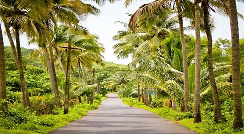 The Ultimate Goa Travel Guide 2026: An Empowered Woman’s Journey Through The Land Of Susegad 2 Image 16